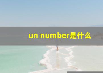 un number是什么